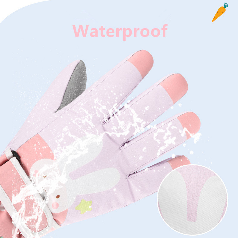 Luvas de esqui de neve de inve - Snow Glove Insulated avaliação e preço